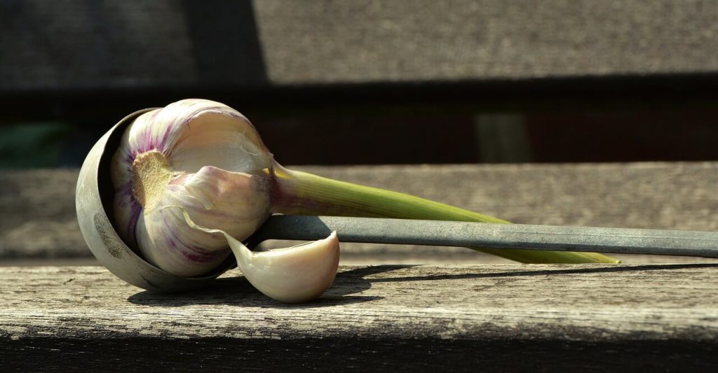 15-best-foods-for-a-healthy-heart-garlic