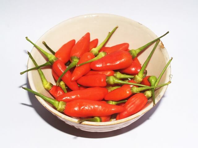 capsaicin-weight-loss-patches