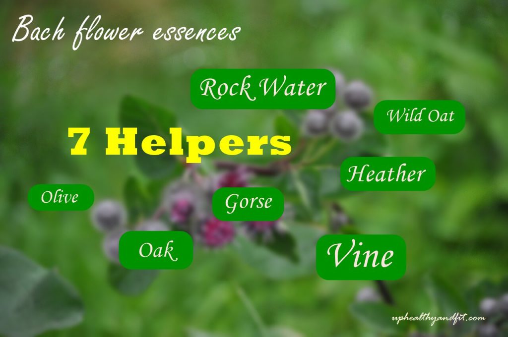 bach-flower-essences-7-helpers