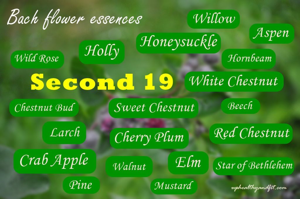bach-flower-essences-second-19