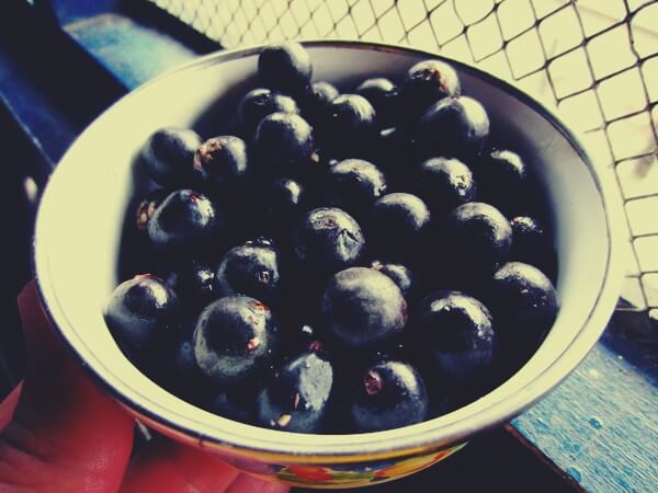 what-are-acai-berries