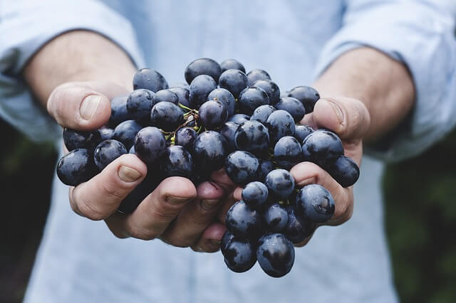 grapes-best-foods-for-a-good-brain-health