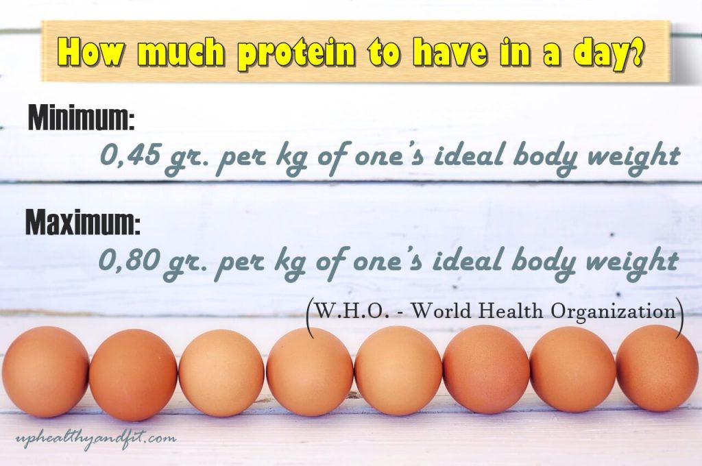 How Much Protein To Have In A Day 1390