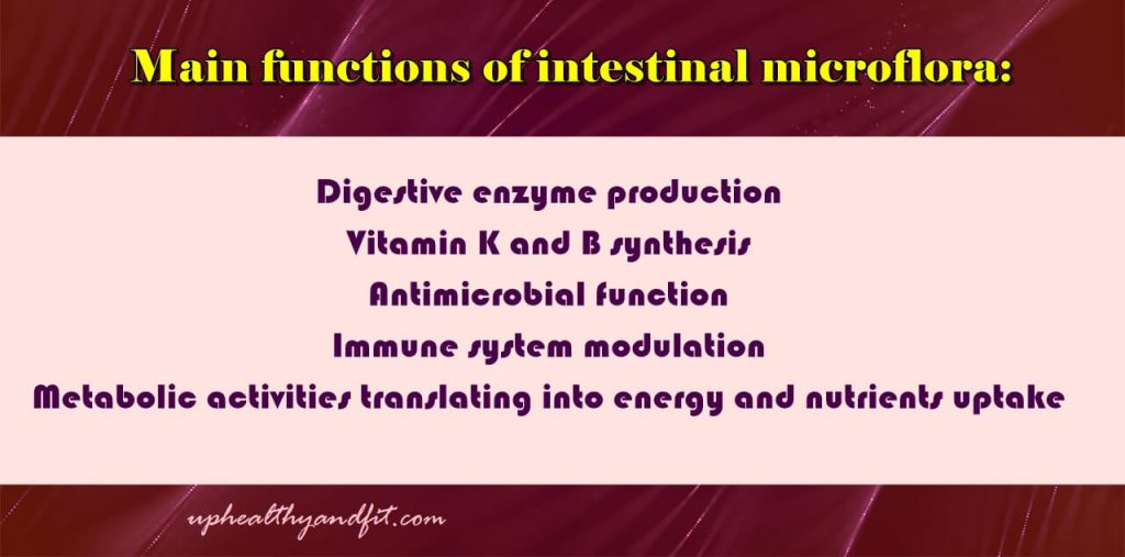 main-functions-of-intestinal-microflora