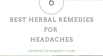 6 Best Herbal Remedies for Headaches