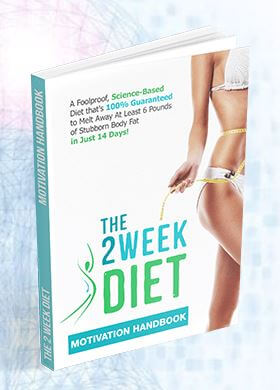 2-week-diet-motivation-handbook