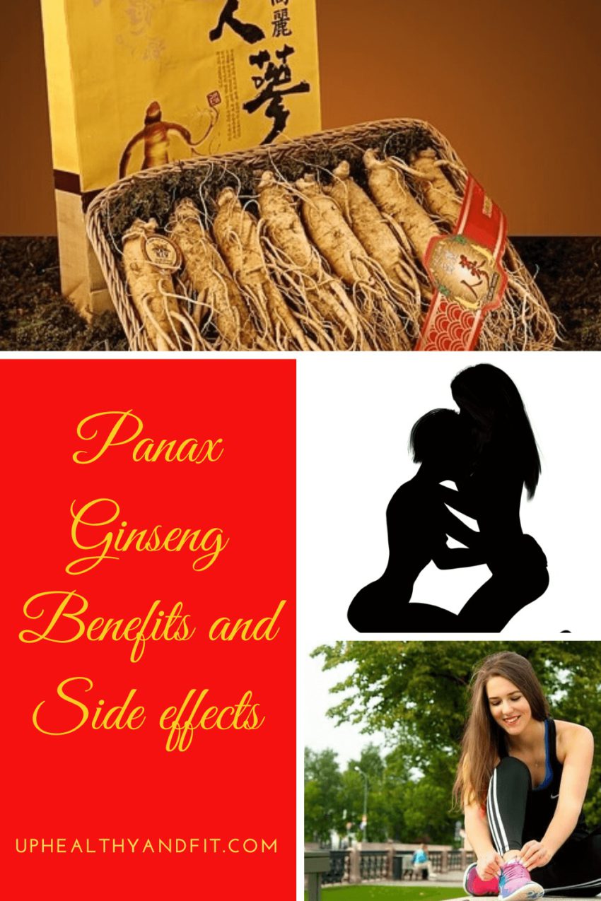 Panax Ginseng Benefits And Side Effects