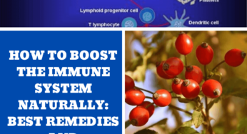How to boost the immune system naturally: best remedies and supplements