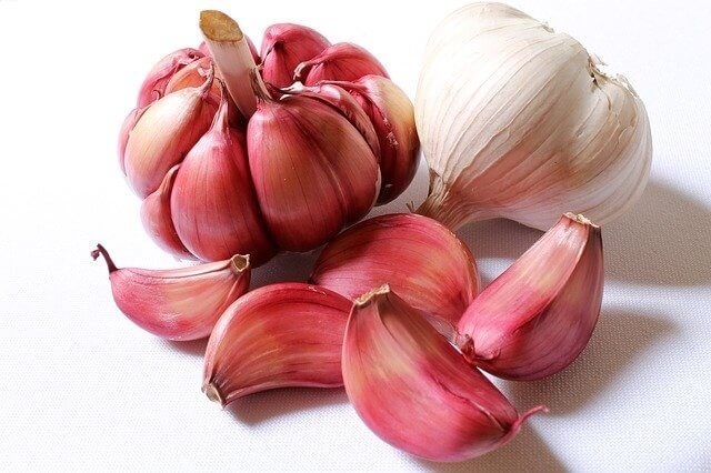 garlic-and-immune-system