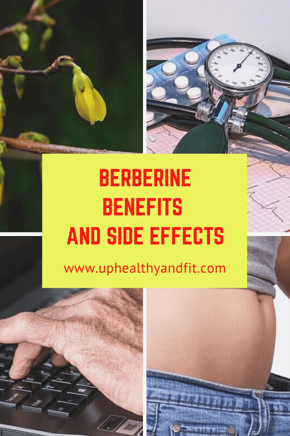 Berberine-benefits-and-side effects