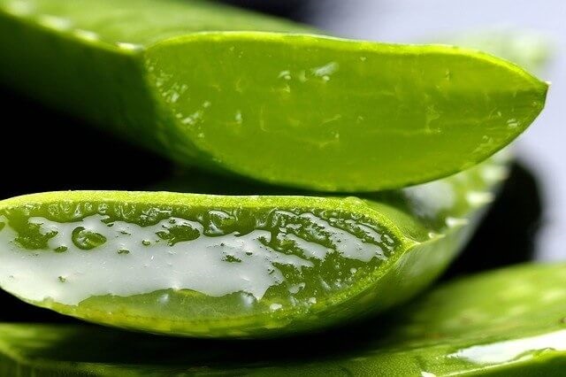 aloe-to-detox-the-liver