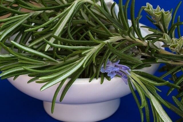 rosemary-to-detox-the-liver